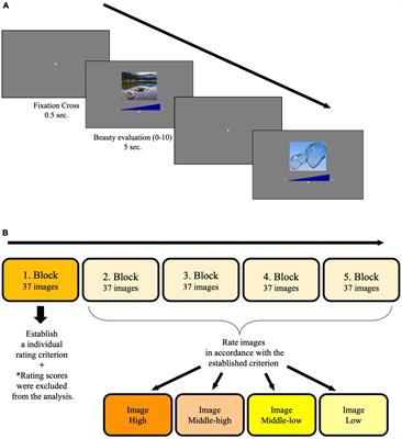 Testing the Reproducibility of the Effects of Transcranial Direct Current Stimulation: Failure to Modulate Beauty Perception by Brain Stimulation